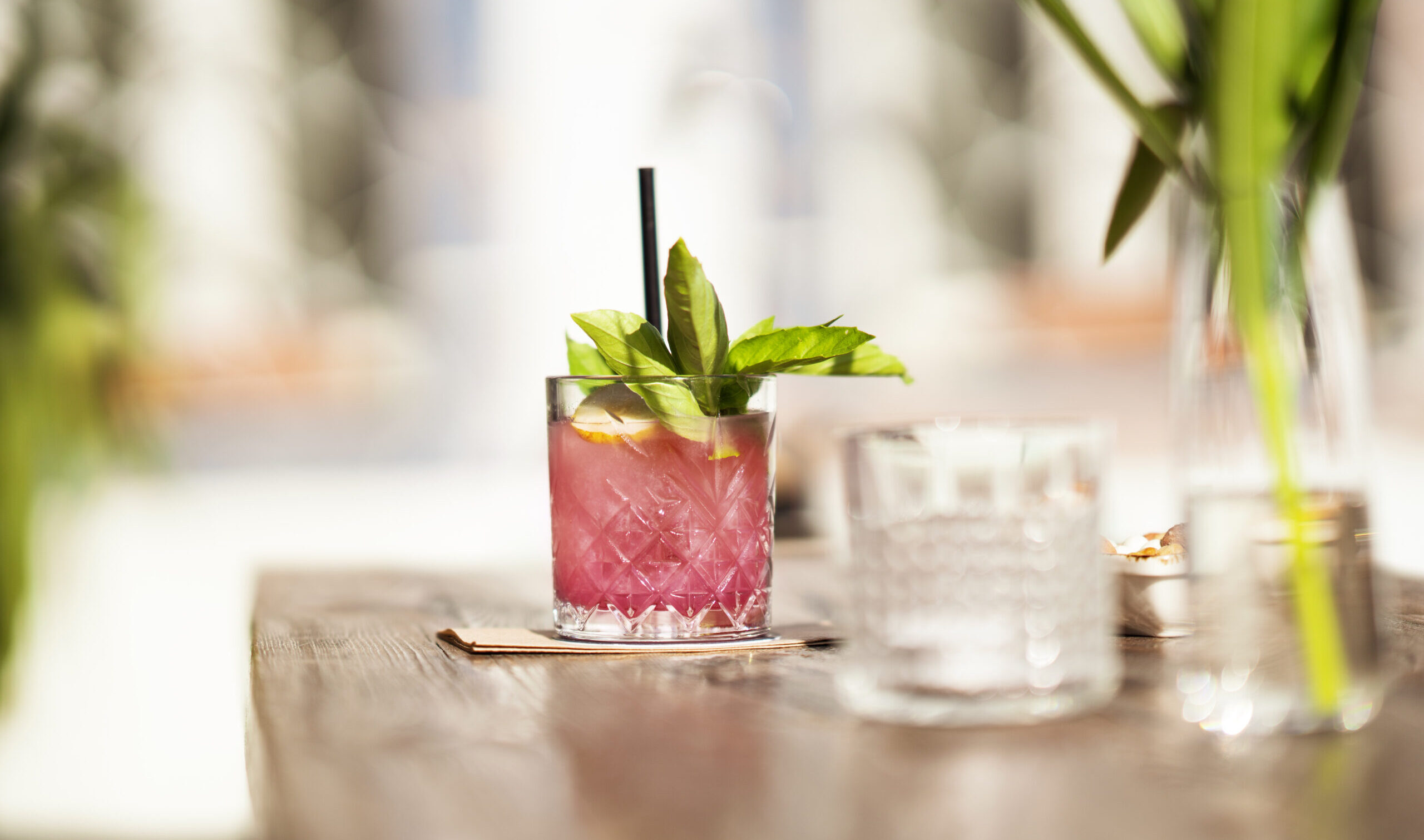 Tropical Cocktails near swimming pool