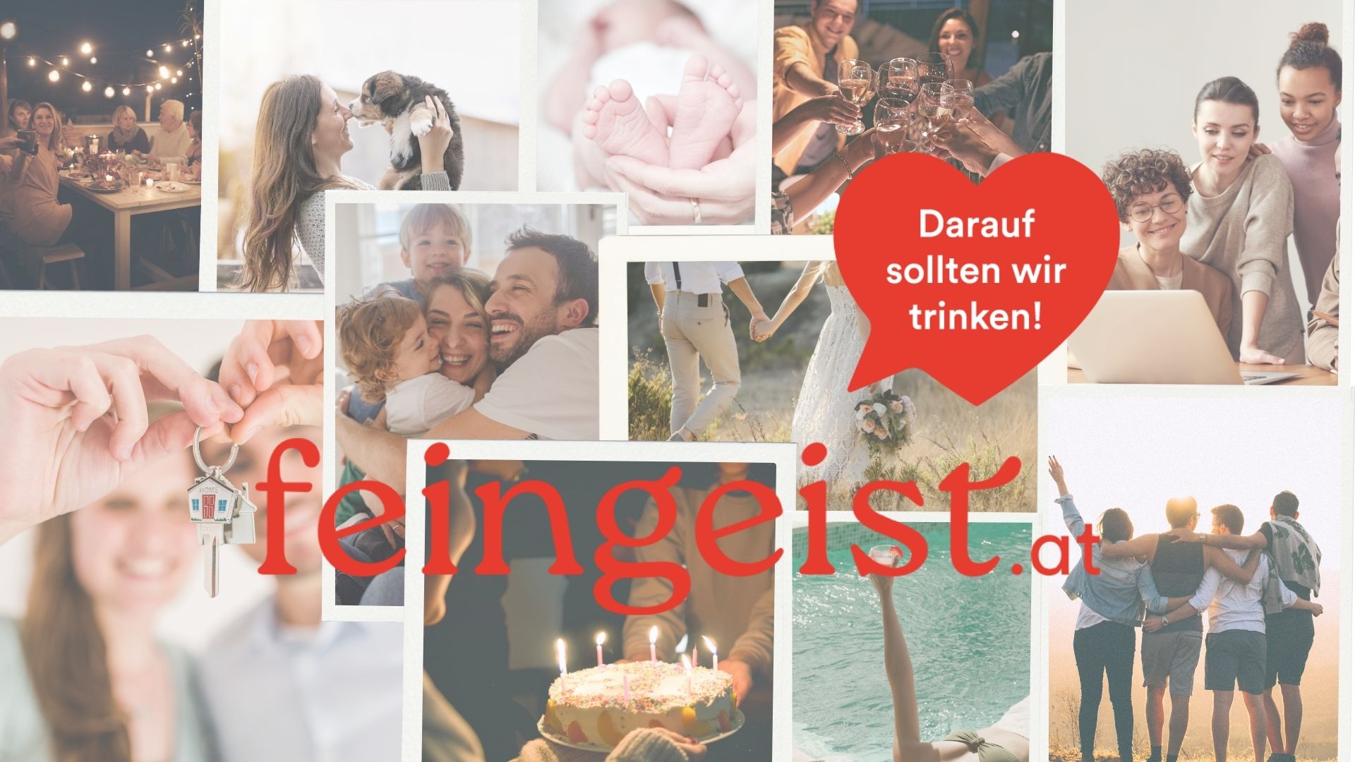 Getränke Onlineshop feingeist im neuen Look