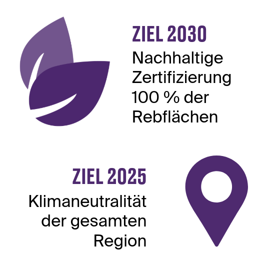 Nachhaltigkeitsziele Champagne Nachhaltigkeitsziele Champagne Grafik