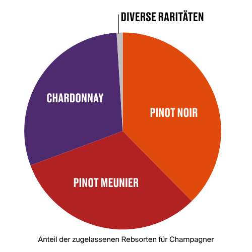 Rebsorten Champagne Rebsorten Champagne