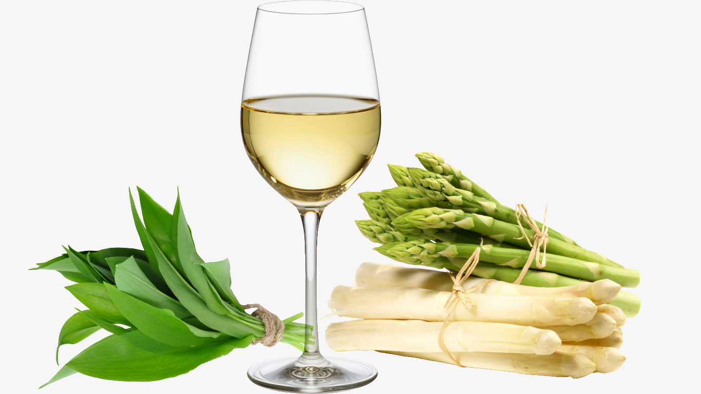 Weine für Bärlauch und Spargel